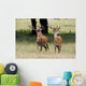 Elk In The Wild Wall Mural