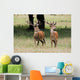 Elk In The Wild Wall Mural