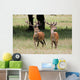 Elk In The Wild Wall Mural