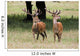 Elk In The Wild Wall Mural