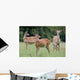 Spotted Deer, Harrogate, Yorkshire, England Wall Mural