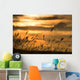 Cattails In The Sunset Wall Mural