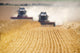 Combines Harvesting Field, North Yorkshire, England Wall Mural