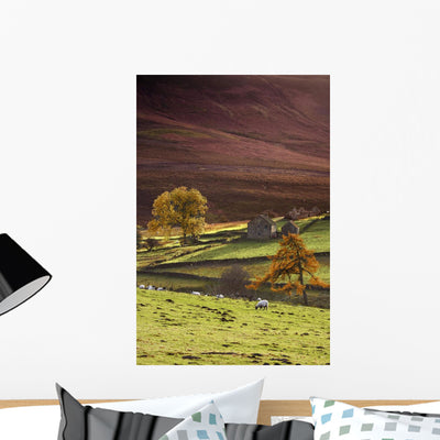 Sheep Hill North Yorkshire Wall Mural shown on a wall