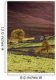 Sheep On A Hill, North Yorkshire, England Wall Mural