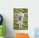 Little Lamb Wall Mural