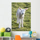 Little Lamb Wall Mural