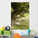 Sheep Lying Under Tree Wall Mural