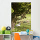 Sheep Lying Under Tree Wall Mural
