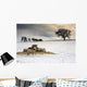 Sheep In Field Of Snow, Northumberland, England Wall Mural