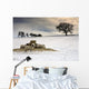 Sheep In Field Of Snow, Northumberland, England Wall Mural