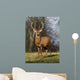 Deer In Field Wall Mural