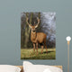 Deer In Field Wall Mural
