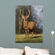 Deer In Field Wall Mural