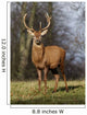 Deer In Field Wall Mural