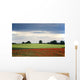 Field With Red Flowers, Yorkshire, England Wall Mural