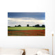 Field With Red Flowers, Yorkshire, England Wall Mural