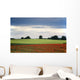Field With Red Flowers, Yorkshire, England Wall Mural