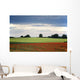 Field With Red Flowers, Yorkshire, England Wall Mural