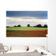 Field With Red Flowers, Yorkshire, England Wall Mural