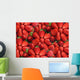 Strawberries Wall Mural