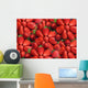 Strawberries Wall Mural