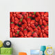 Strawberries Wall Mural