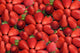 Strawberries Wall Mural