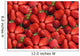 Strawberries Wall Mural