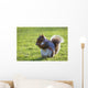 Squirrel On Grass Wall Mural