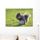 Squirrel On Grass Wall Mural