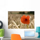 Red Flower In Field Wall Mural