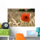 Red Flower In Field Wall Mural