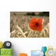 Red Flower In Field Wall Mural