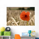Red Flower In Field Wall Mural