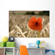 Red Flower In Field Wall Mural