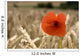 Red Flower In Field Wall Mural