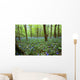 Violets In Forest Wall Mural