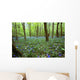 Violets In Forest Wall Mural