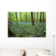 Violets In Forest Wall Mural
