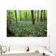 Violets In Forest Wall Mural
