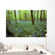 Violets In Forest Wall Mural