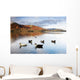 Ducks In Lake, Cumbria, England Wall Mural