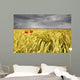Two Red Poppies In Wheat Field Wall Mural