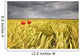 Two Red Poppies In Wheat Field Wall Mural