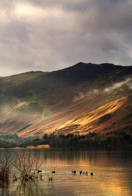 Lake In Cumbria, England Wall Mural