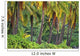 Palm Trees Wall Mural