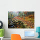 Path Through Forest, Shenandoah National Park, Virginia, Usa Wall Mural
