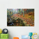 Path Through Forest, Shenandoah National Park, Virginia, Usa Wall Mural