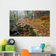 Path Through Forest, Shenandoah National Park, Virginia, Usa Wall Mural